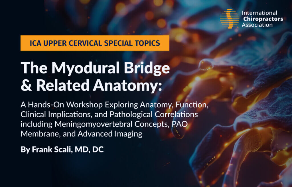 The Myodural Bridge and Related Anatomy